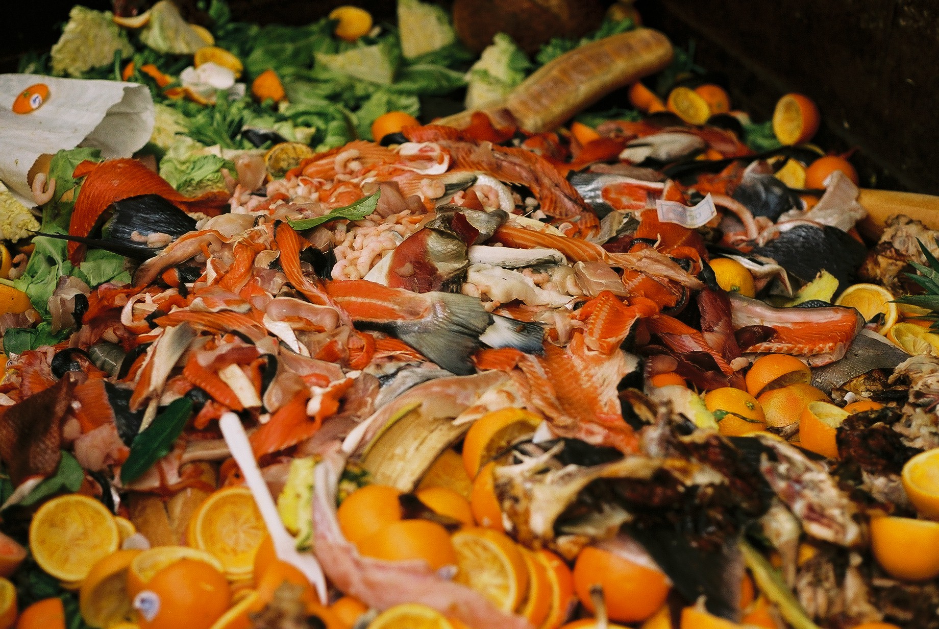 Types Of Food Waste Pdf