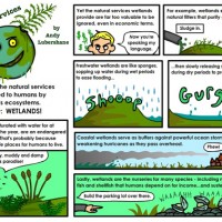 EarthlyServices-Wetlands