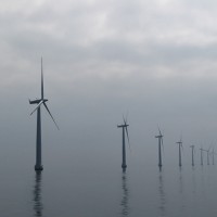 535180037_7104ed85b8