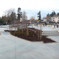 edbenedictskatepark