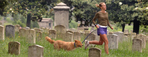 Historic Oakland Cemetery, Atlanta's oldest cemetery and an official park. Photo: Joey Ivansco