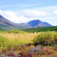chugach