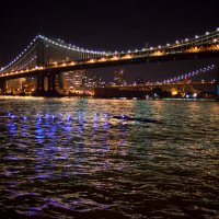 Amphibious Architecture