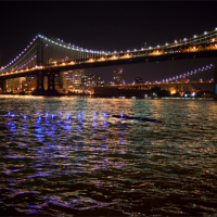 Amphibious Architecture