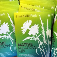 seed packets