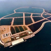 Pulau Semakau