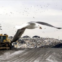 Tullytown Landfill