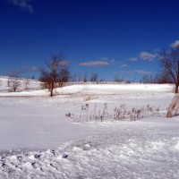 blizzardfkp