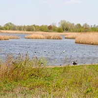 paerdegat