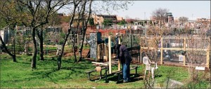 Floyd Bennett Field community garden