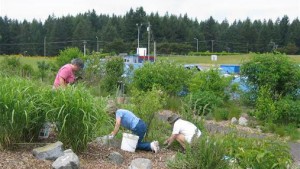 Closed Loop gardeners