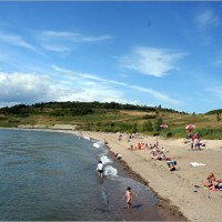 spectacle island
