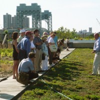 5borogreenroof