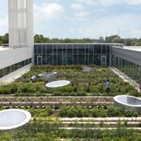 rooftophaven