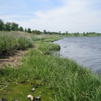 ecology