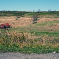 autumn photos