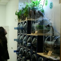 NYU Student’s Living Systems Prototype