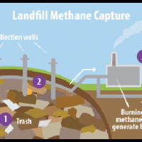 4-1-7-landfill