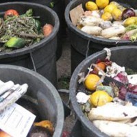 food waste