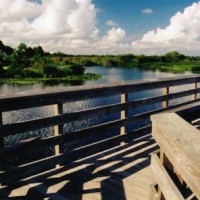 Wakodahatchee Wetlands: Using wastewater to restore natural habitats