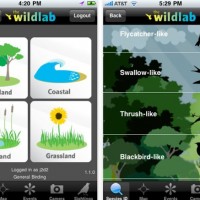 wildlab_bird-1