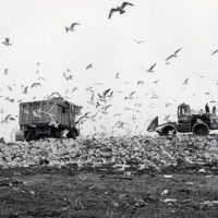 Fresh Kills Landfill