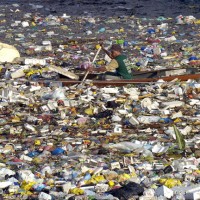the great pacific garbage patch