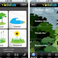 wildlab