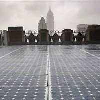 Solar Panels New York Tree