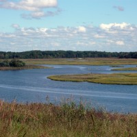 Freshkills Park Raj Photo