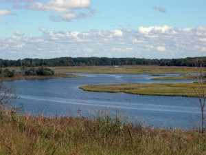 Freshkills Park Raj Photo