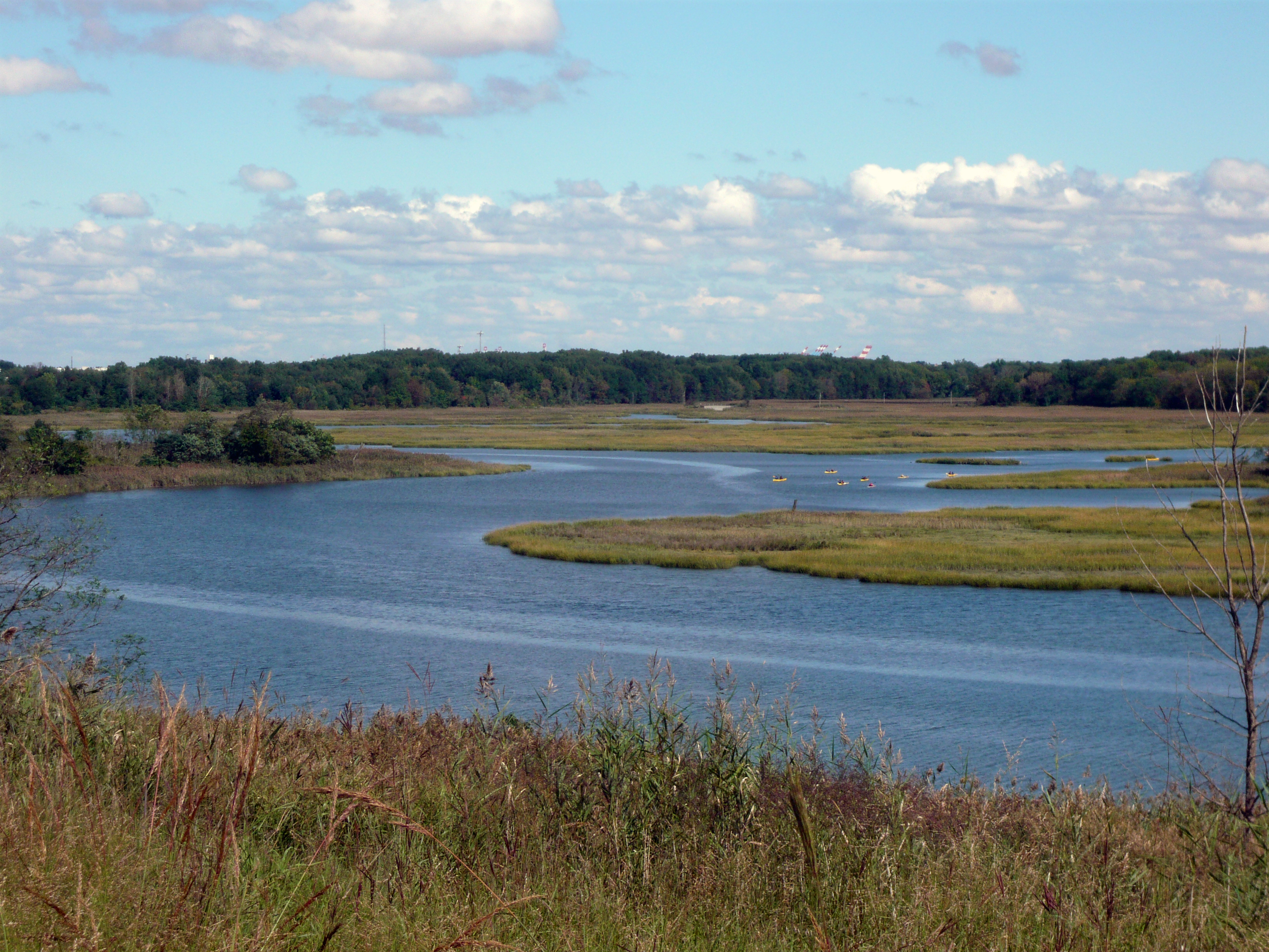 Freshkills Park Photo