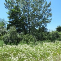 East Park