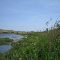 Wetlands at Freshkills Park, Staten Island, NY