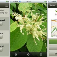 PlantTracker app screenshot via Treehugger