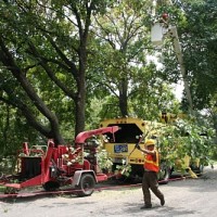 Park maintenance workers. Photo: awalkinthepark.blogspot.com