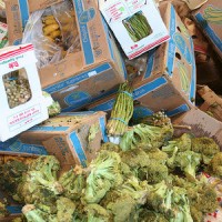 food-waste