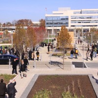 Canal Park
