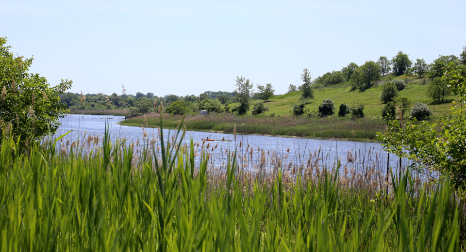 Homepage - Freshkills Park Alliance