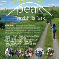 Sneak Peak 2013 Poster