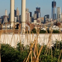 feeding cities