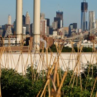 feeding cities2