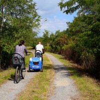 IMG_3824_web
