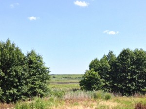 East Mound in Freshkills Park as seen from GNPC