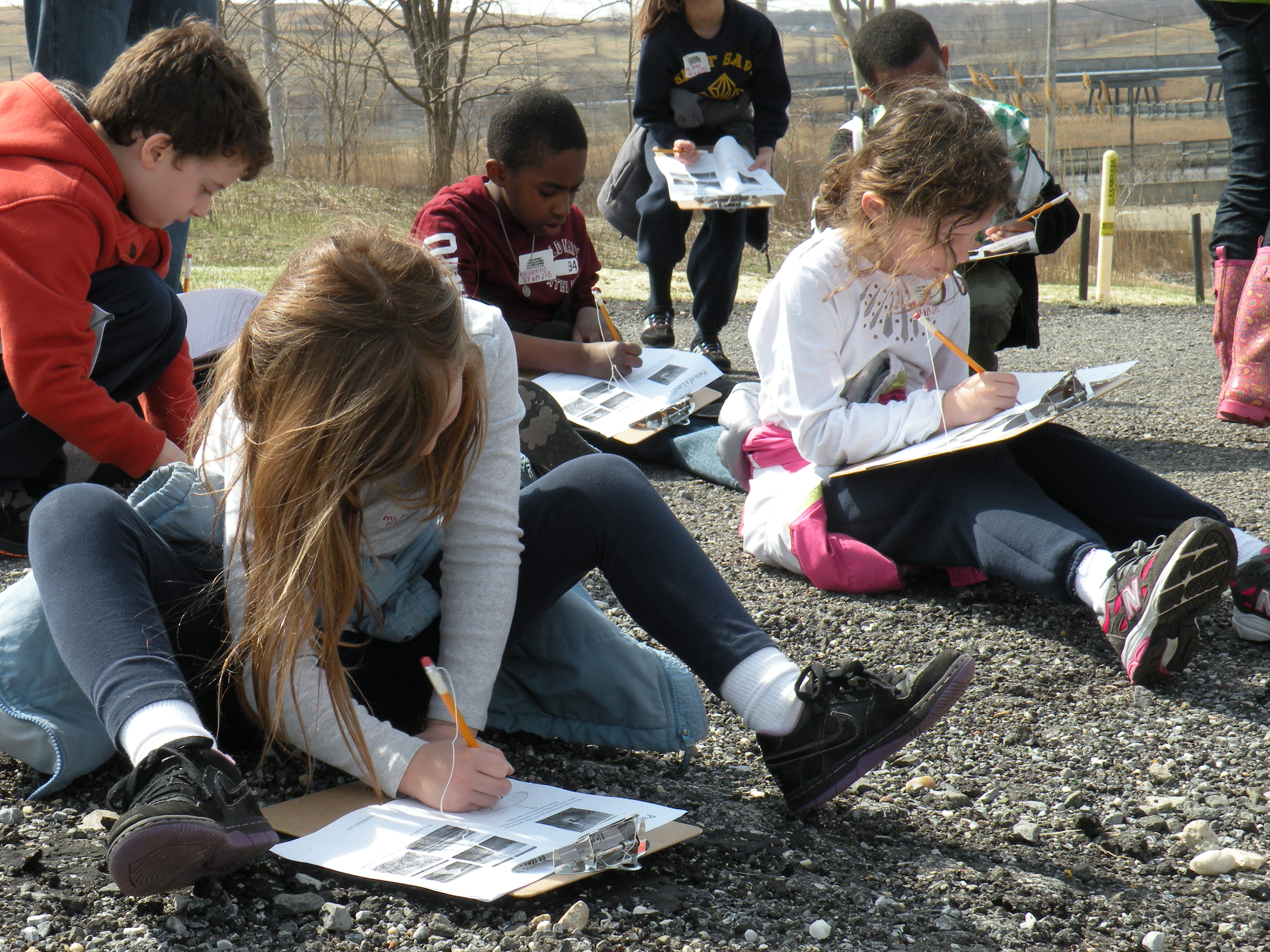 From Behind the Mounds Building the Freshkills Park Community