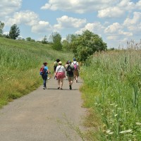 Freshkills Park tour