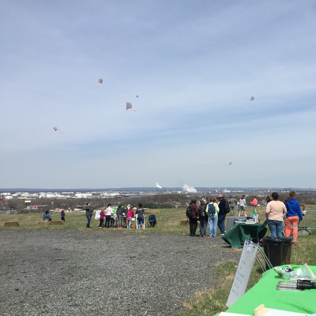 From Behind the Mounds Volunteering at Freshkills Park Freshkills Park