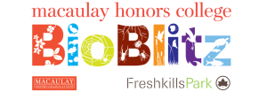 BioBlitz