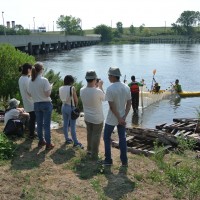 BioBlitz