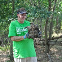 BioBlitz
